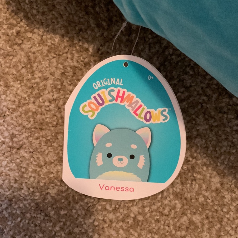 Vanessa 16 inch Squishmallow- super clean - Picture 3 of 5